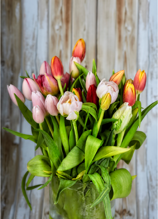Ramo de tulipanes rosados