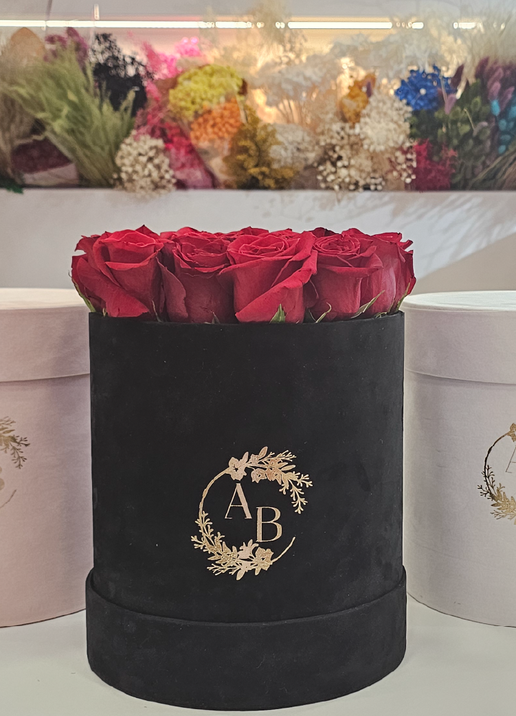 alexandra-baricalla-packaging-exclusivo-16